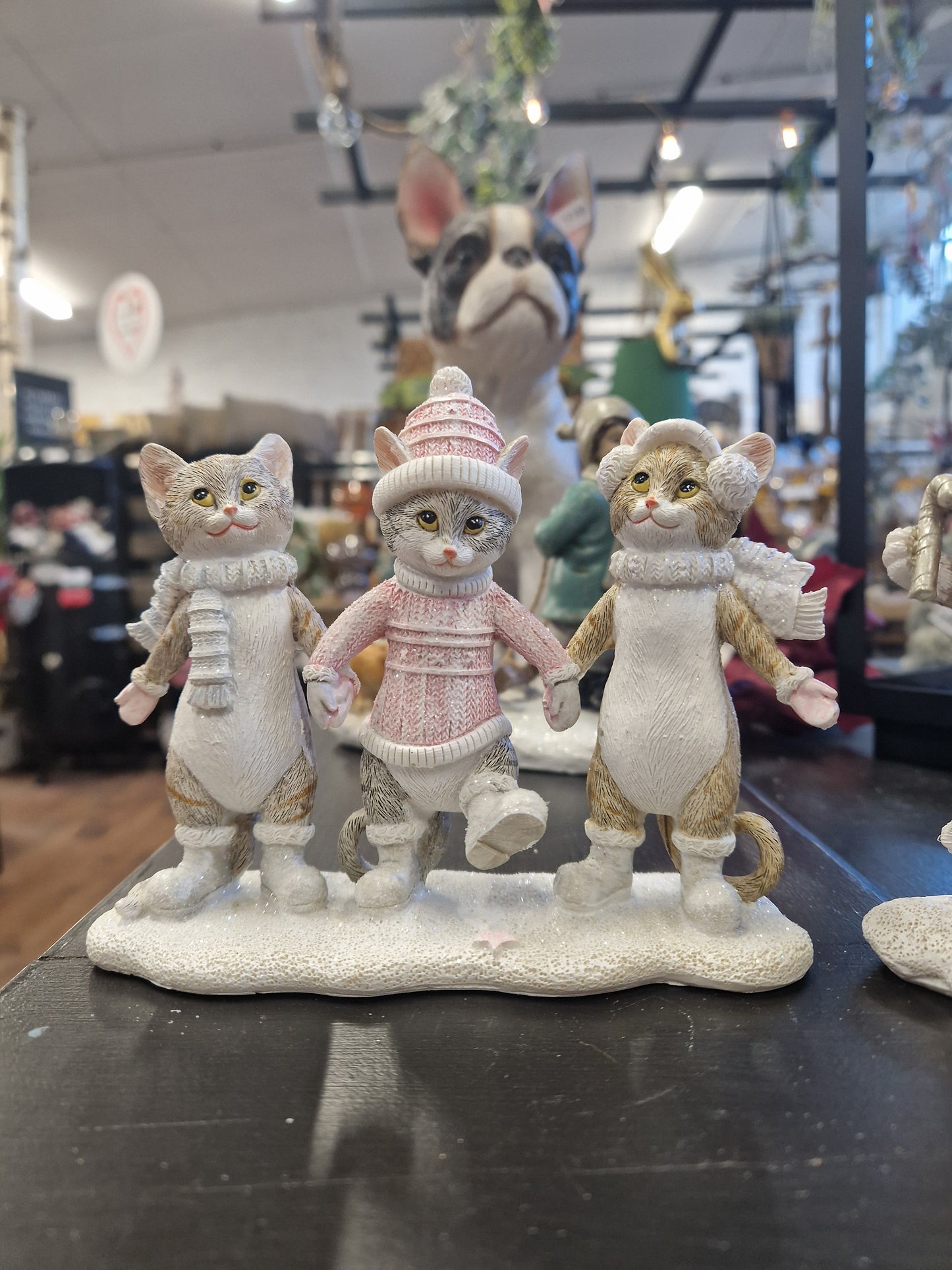 Kissa ja koira kaverukset