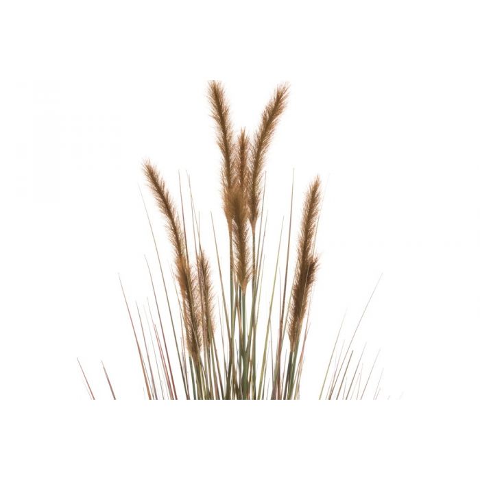 Heinäkasvi ruukussa 122cm