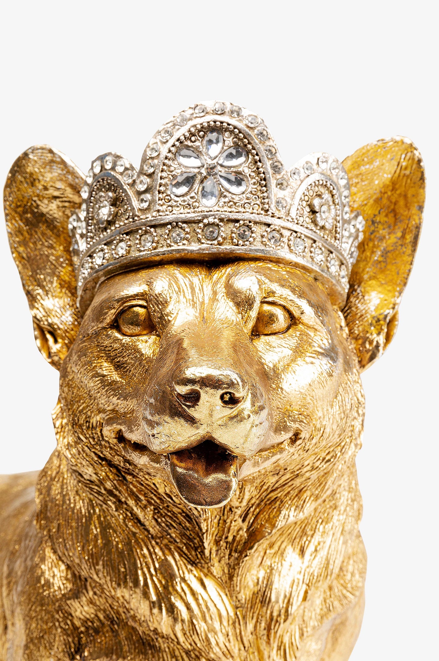 Royal Corgi