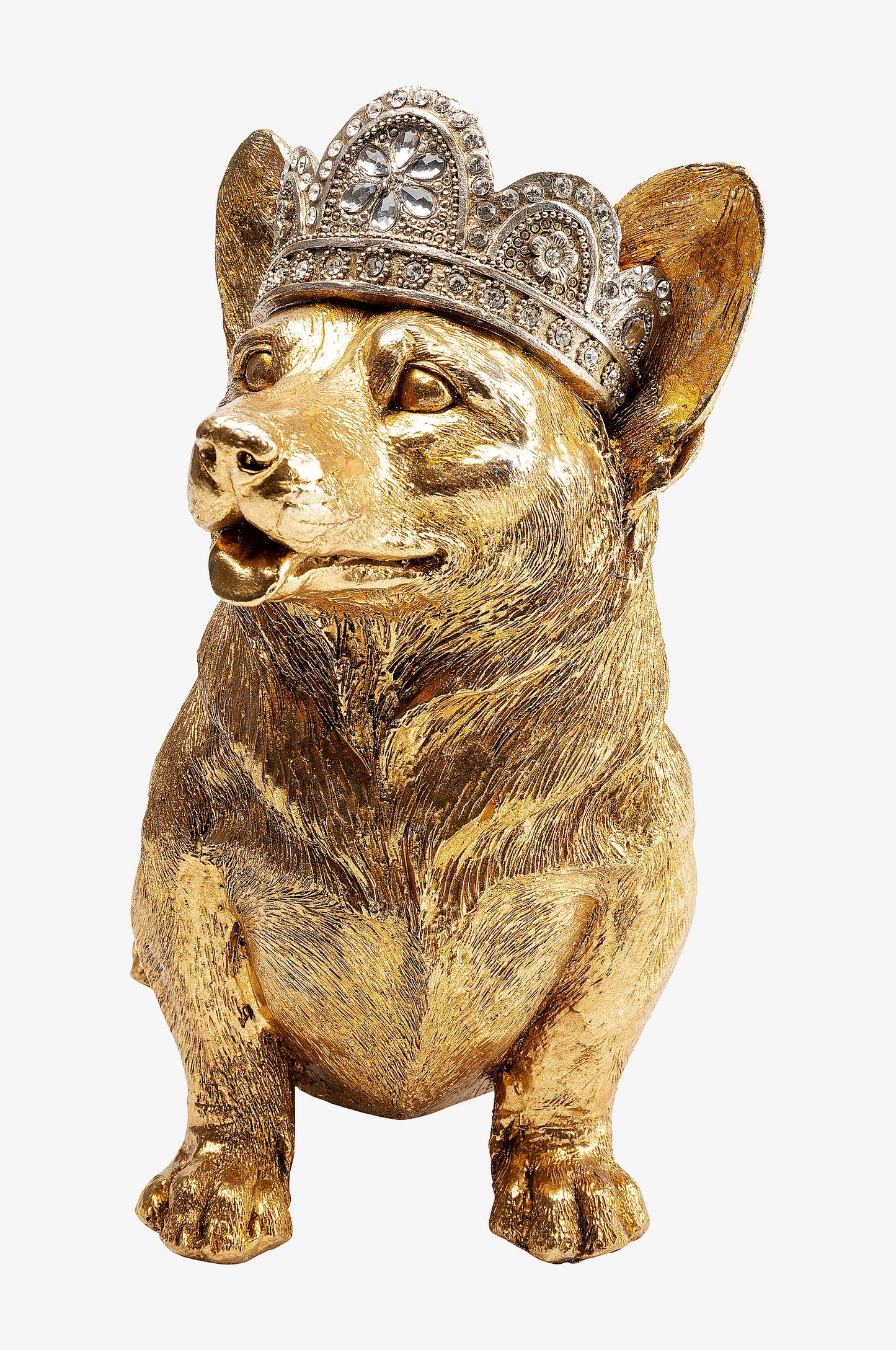 Royal Corgi