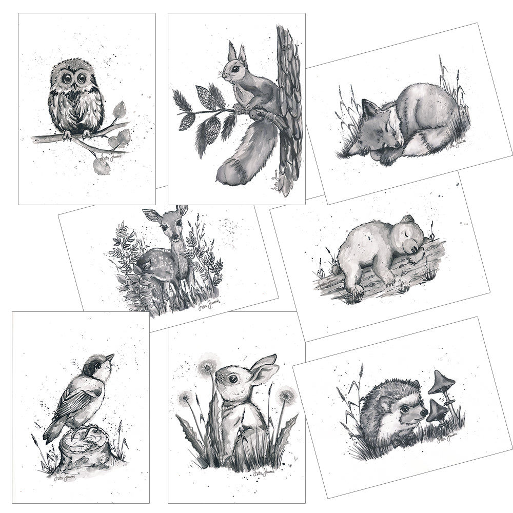 Lintu mustavalkoinen