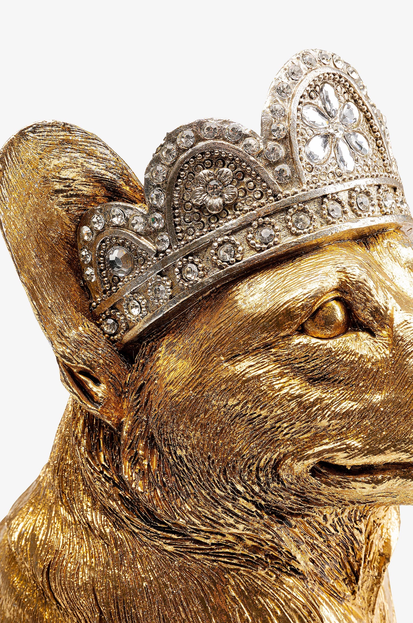Royal Corgi