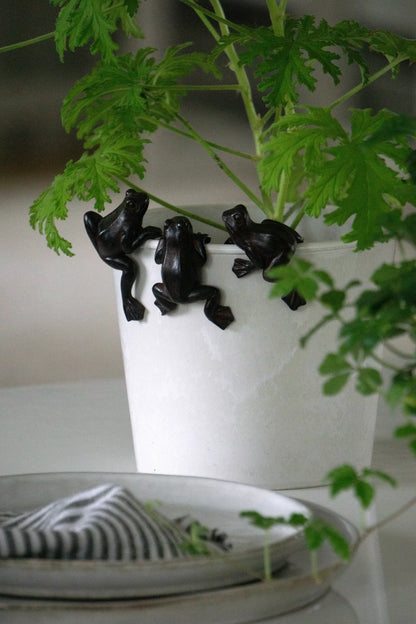 Sammakot ruukun reunalle x3