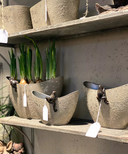 Sammakot ruukun reunalle x3