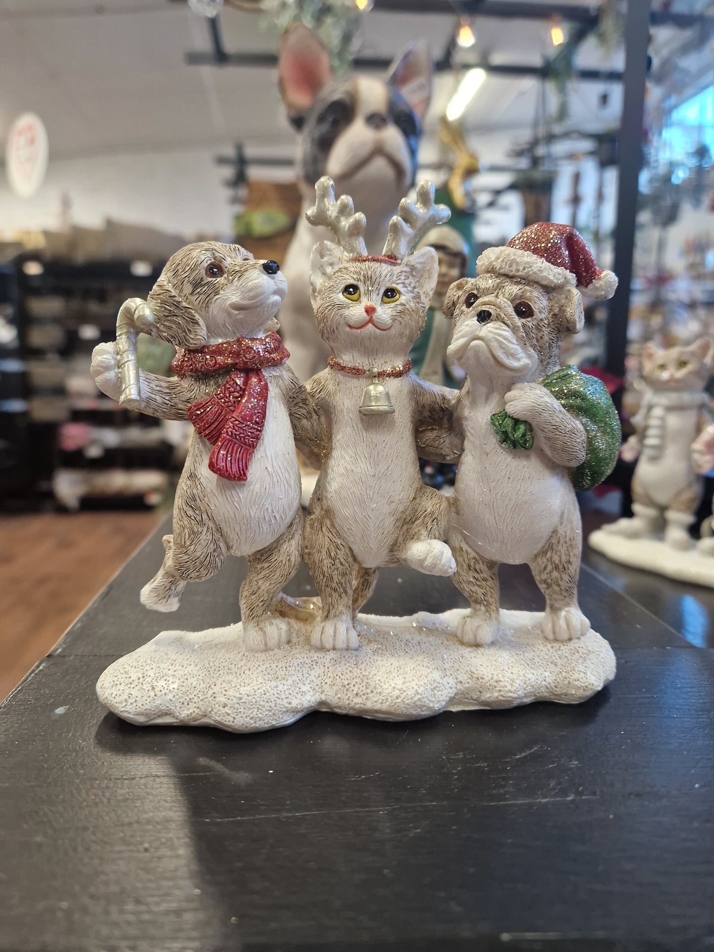 Kissa ja koira kaverukset