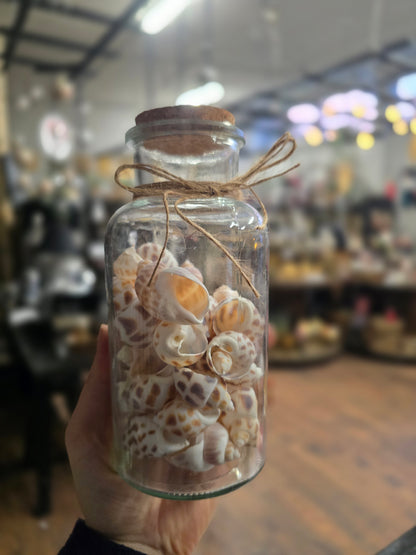 Simpukat lasipurkissa ALE