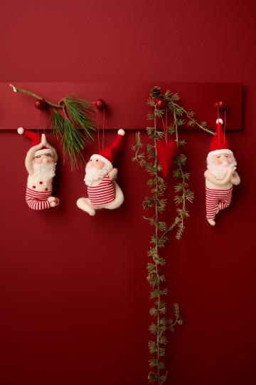 Havuköynnös kävyillä Ib Laursen