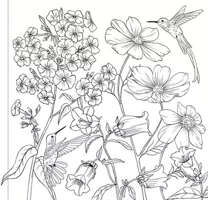 Värityskirja Wildflowers