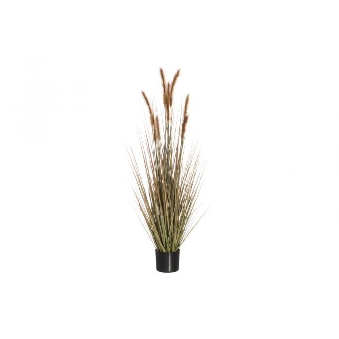 Heinäkasvi ruukussa 122cm