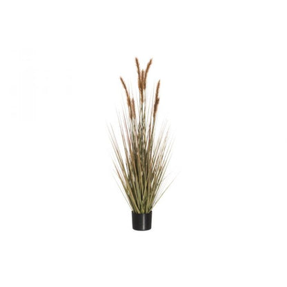 Heinäkasvi ruukussa 122cm