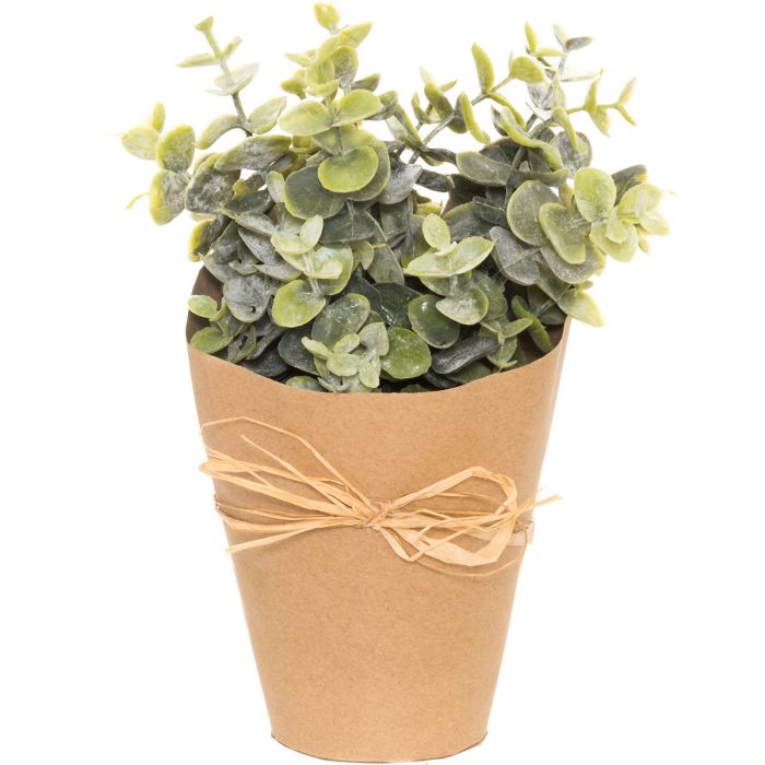 Viherkasvi, yrtti 25cm